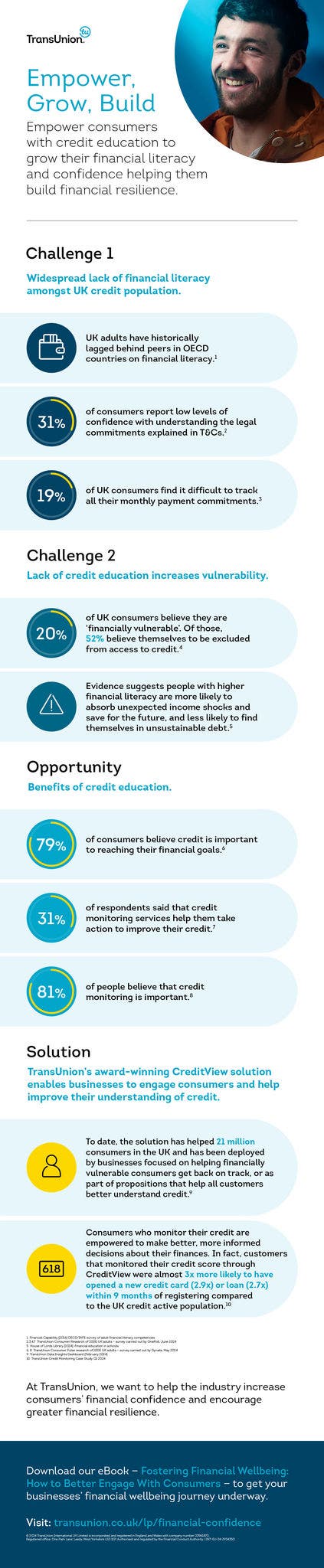 Consumer Credit Monitoring Infographic 