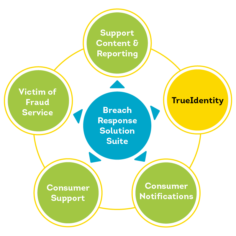 the consumer lifecycle 